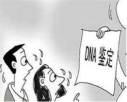 安徽户籍亲子鉴定哪里可以办理